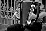 accordion, musical instrument, musician