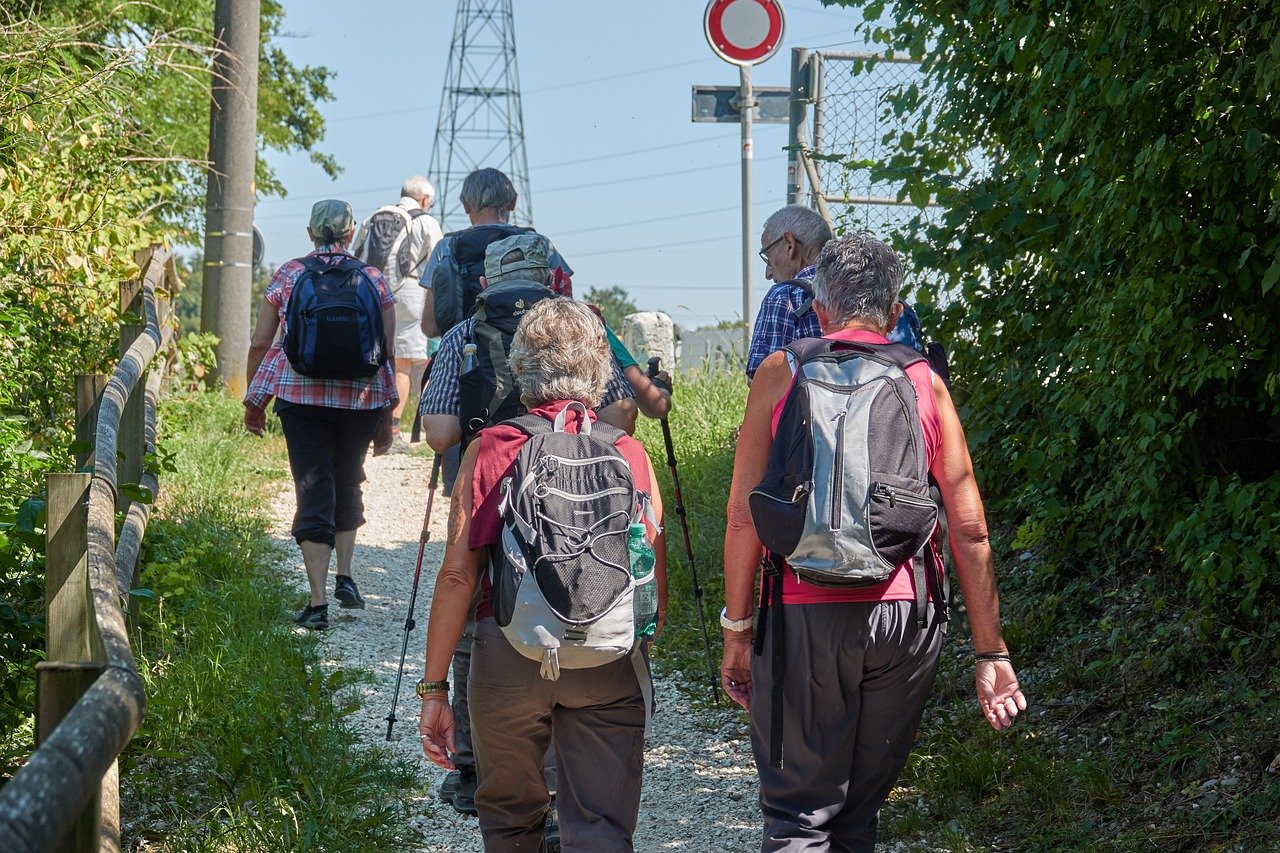 walker, group, hike